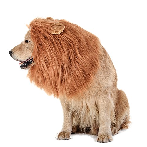 10 Best Lion Costumes For Dogs