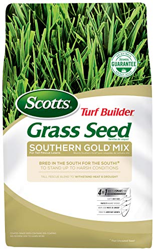 Scotts Turf Builder Grass Seed Southern Gold Mix For Tall Fescue Lawns - 7 lb., Thrives In Harsh Summer Conditions, Heat, Drought, Insect And Disease Resistant, Covers up to 1,750 sq. ft.