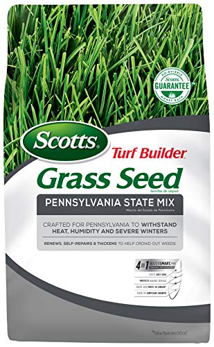 Scotts Turf Builder Grass Seed Pennsylvania State Mix 7 lb., Developed Specifically For Pennsylvania Lawns, Renews, Self-Repairs and Thickens to Help Crowd Out Weeds , Seeds up to 3,250 sq. ft.