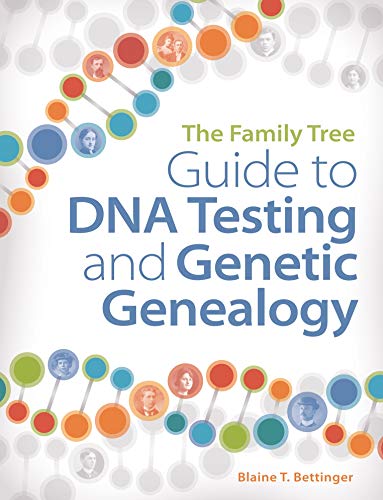 10 Best Ancestry Dna Test For Adoptees