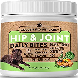 Hip & Joint Supplement for Dogs - Organic Turmeric, Glucosamine, Chondroitin, MSM - Made with All-Natural Ingredients - Supports Healthy Joints & Improves Mobility, Large & Small Dogs - 120 Soft Chews