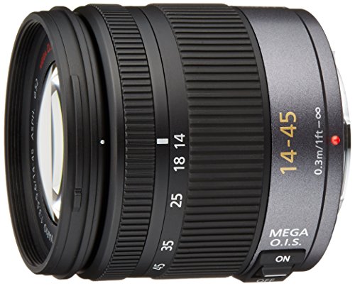 10 Best Panasonic Gh4 Lenses