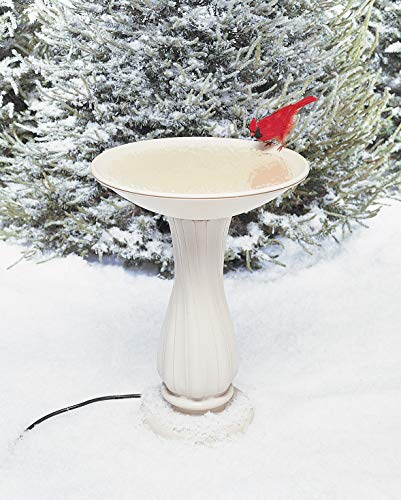 9 Best Heated Ground Bird Bath