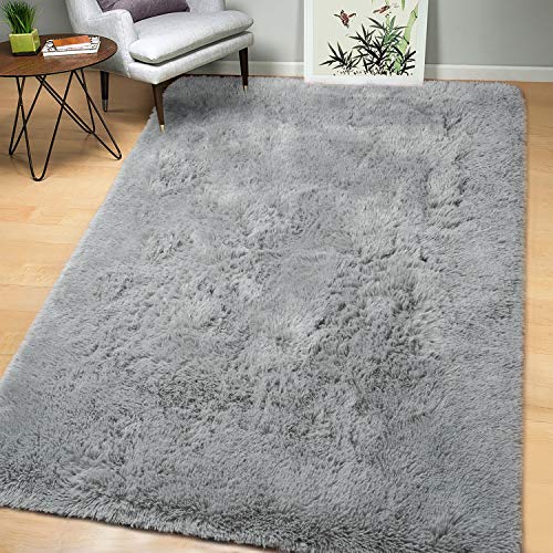 AROGAN Soft Fluffy Rug Modern Shag Area Rugs for Bedroom Living Room 4x6 Feet, Cute and Comfy Nursery Carpets, Luxury Velvet Plush Carpet for Kids Girls, Gray