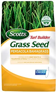 Scotts Turf Builder Grass Seed Pensacola Bahiagrass, 5 lb. - Designed for Full Sun and High Drought Resistance - Seeds Up to 1,000 sq. ft.