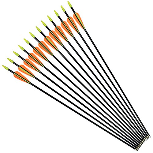 10 Best Target Shooting Arrows