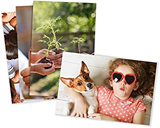 Photo Prints  Matte  Standard Size (8x10)