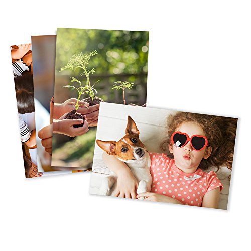 Photo Prints  Matte  Standard Size (8x10)