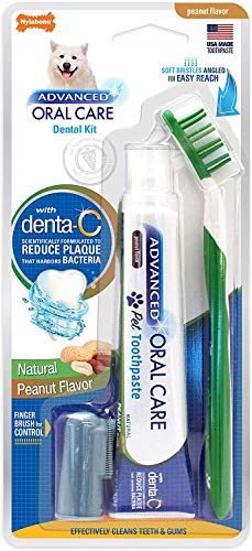 Nylabone Advanced Oral Care Natural Dog Dental Kit Peanut Flavor 2.5 oz.