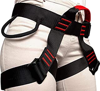 Rock Climbing Harness with Lanyard - Safety Body Harness Waist Bag - Tree Climbing, Outdoor Activities, Training - Premium Quality Durable Material - Adjustable Sliding Back D-Ring - Slotted Buckles