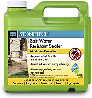StoneTech Salt Water Resistant Sealer for Natural Stone & Masonry, 1-Gallon (3.785L)