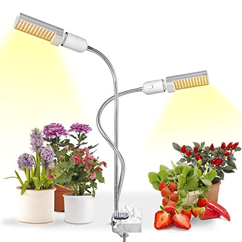 6 Best Plant Grow Lamps