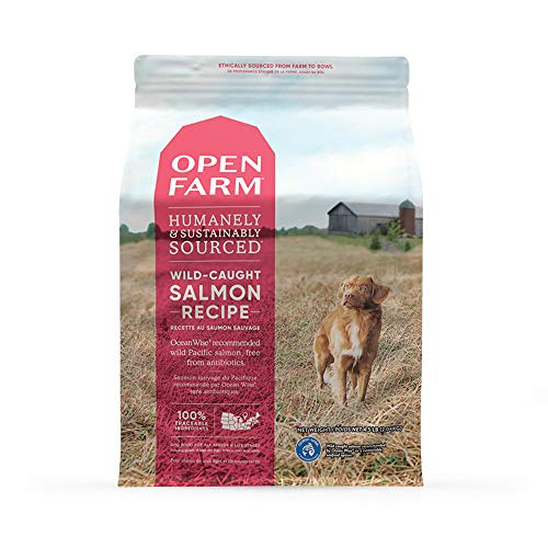 Open Farm Wild-Caught Salmon Grain-Free Dry Dog Food, Fresh Pacific Salmon Recipe with Non-GMO Superfoods and No Artificial Flavors or Preservatives, 4.5 lbs