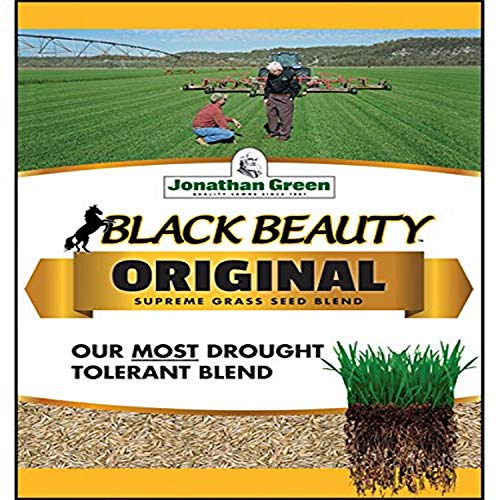 10 Best Grass Seed For Virginia