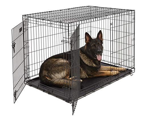 XL Dog Crate MidWest ICrate Double Door Folding Metal Dog Crate w/ Divider Panel|XL Dog Breed, Black