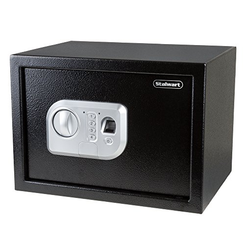 10 Best Biometric Home Safes