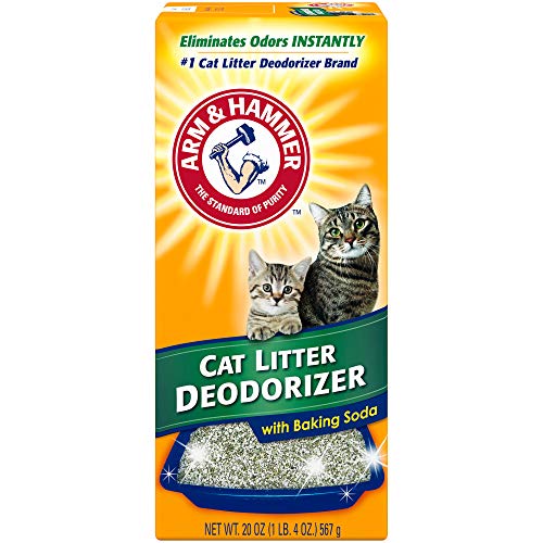 10 Best Cat Litters For Odor Control