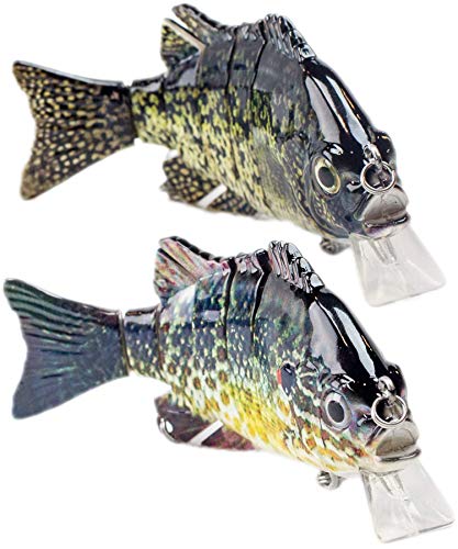 Sunrise Angler 4 Inch Bluegill Swimbait | 2 Pack | Sinking Hard Lure, Crankbait, Topwater Swimbait, Wakebait, Glidebait for Freshwater Fishing with 3D Eyes, Lifelike Skin and Swim