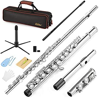 Eastar EFL-1 Closed Hole C Flutes 16 Key Nickel Beginner Student Kids Flute Musical Instrument With Carrying Case Stand Gloves Cleaning Rod and Cloth