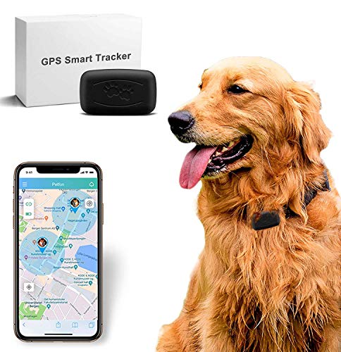 LMHOME GPS Pet Tracker, Dog GPS Tracker,GPS Tracker for Vehicles,Real Time Dogs Cats Locator Finder - Waterproof|Alarm|, Security Fence|Remote Monitoring - Fits for All Android iOS Devices