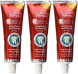 Petrodex Enzymatic Toothpaste Dog Poultry Flavor FamilyValue 3Pack (6.2oz)-yrm-Petrodex