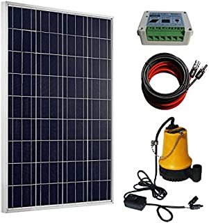 ECO-WORTHY 100W Solar Water Pump Kit - 100W Solar Panel + 12V Water Pump + 20A LCD Display PWM Controller + Pair of Cable for Remote Watering, Garden, Farm Irrigation, Tank Filling