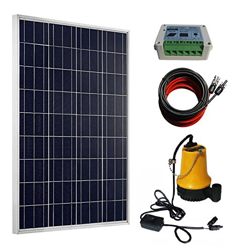 ECO-WORTHY 100W Solar Water Pump Kit - 100W Solar Panel + 12V Water Pump + 20A LCD Display PWM Controller + Pair of Cable for Remote Watering, Garden, Farm Irrigation, Tank Filling