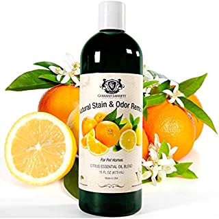 Pet Urine Odor Remover & Enzyme Cleaner for Carpet, Rug & Furniture - Natural Dog & Cat Pee Smell Neutralizer Solution & Stain Destroyer - Enzymatic Poo, Vomit, & Feces Eliminator - 16 FL OZ (473 mL)