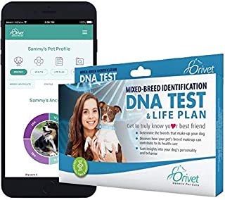 Orivet Dog DNA Test | Dog Breed Test Kit, Genetic Testing, Heritable Health Risks and Life Plan