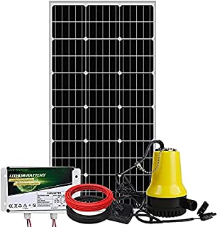 ECO-WORTHY 100W Solar Water Pump Kit - 100W Solar Panel + 12V Water Pump + 6AH Multifunctional Battery + Pair of Cable + Mounting Brackets for Remote Watering, Garden, Farm Irrigation, Tank Filling