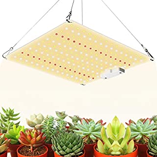 600W Led Grow Light with Samsung Diode UV IR Included, 2x2ft Coverage Sunlike Led Grow Lights for Indoor Plants Full Spectrum, Greenhouse Hydroponic Indoor Seeding Veg and Bloom