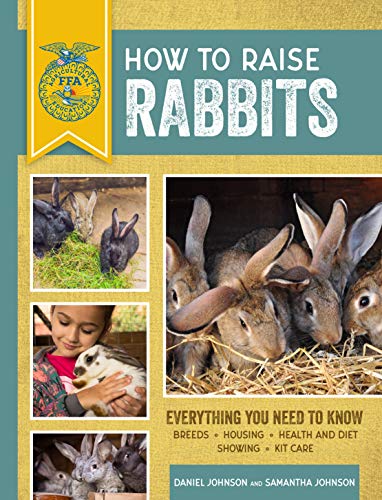 9 Best Rabbit Hutch For Mini Lop