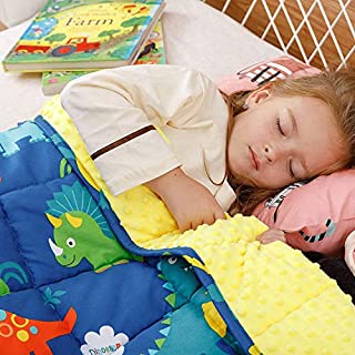 BUZIO Kids Weighted Blanket 3 lbs, Ultra Cozy Minky Fleece and Cotton Sided with Cartoon Patterns, Reversible Heavy Blanket Great for Calming and Sleeping, 36x48 inches, Blue Dinosaur Park