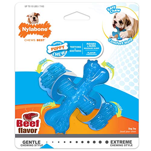 Nylabone Puppy Chew X Bone Chew Toy Beef Flavor Small/Regular - Up to 25 lbs.