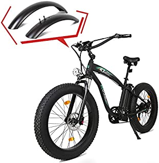 ECOTRIC Powerful Fat Tire Electric Bicycle 26