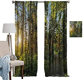 DRAGON VINES Wear Pole Curtains Curtain National Park in Cape Breton Highlands Canada Forest Path Trees Tranquility Photo Blue Green Blocking Sunlight from Entering The Room Set of 2 Panels W96 x L72