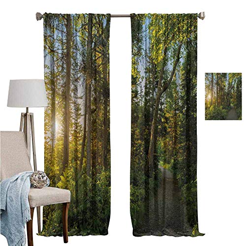 DRAGON VINES Wear Pole Curtains Curtain National Park in Cape Breton Highlands Canada Forest Path Trees Tranquility Photo Blue Green Blocking Sunlight from Entering The Room Set of 2 Panels W96 x L72