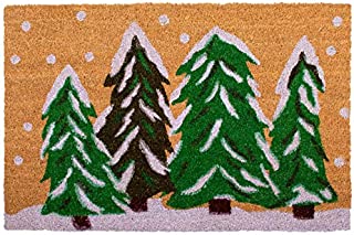 Calloway Mills 122251729 Winter Wonderland Doormat, 17