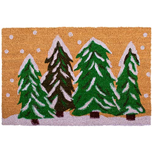 Calloway Mills 122251729 Winter Wonderland Doormat, 17