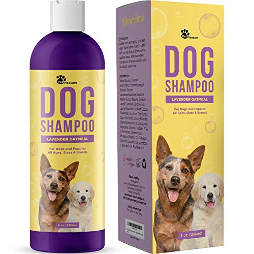 Natural Dog Shampoo for Smelly Dogs - Refreshing Colloidal Oatmeal Dog Shampoo for Dry Skin and Cleansing Dog Bath Soap - Moisturizing Dog Shampoo Oatmeal Lavender Formula for Great Smelling Dog Wash