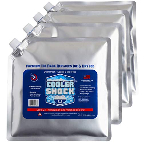 4 Mid-Size Cooler Freeze Packs 10x10 inch Screw Cap. The Coldest Pack at 18 Degrees F. No Ice Needed, Reusable. You Add Water & Save. C.S. Brand Packs Have 4,000 Reviews Avg. 4.6 Stars - Safe USA Made