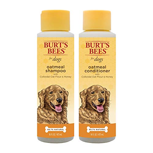 Combo Pack: Burt's Bees for Dogs Oatmeal Dog Shampoo and Conditioner with Colloidal Oat Flour and Honey | Cruelty Free, Sulfate & Paraben Free, pH Balanced for Dogs - Made in The USA