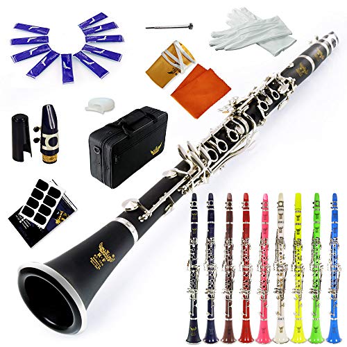 ROFFEE clarinet beginner student level 26N B flat ABS nickel plated 17 keys Bb tone with 2 berrels,case,10 reeds,mouthpiece and more