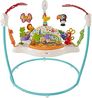 Fisher-Price Animal Activity Jumperoo, Blue, One Size