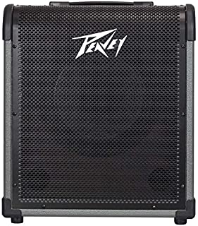 Peavey MAX 100 100-Watt Bass Amp Combo