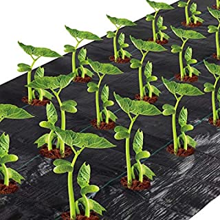 Agfabric Easy-Plant Weed Block for Raised Bed Outdoor Garden Weed Rugs Garden mat 3.0oz, 3'x12',with Planting Hole Dia 4