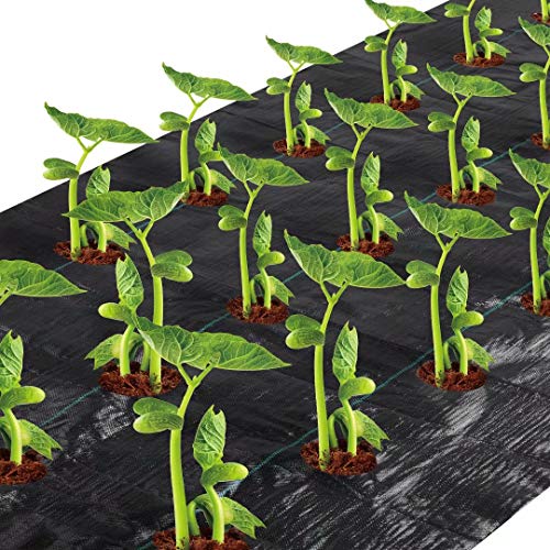 Agfabric Easy-Plant Weed Block for Raised Bed Outdoor Garden Weed Rugs Garden mat 3.0oz, 3'x12',with Planting Hole Dia 4