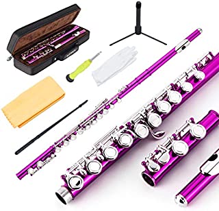 EASTROCK Closed Hole Flutes C 16 Key for Beginner, Kids, Student -Nickel Flute with Case Stand and Cleaning kit (Pink)