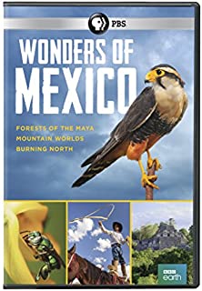 Wonders Of Mexico