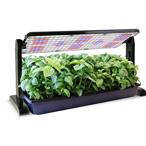 9 Best Led Grow Lights For Seed Starting